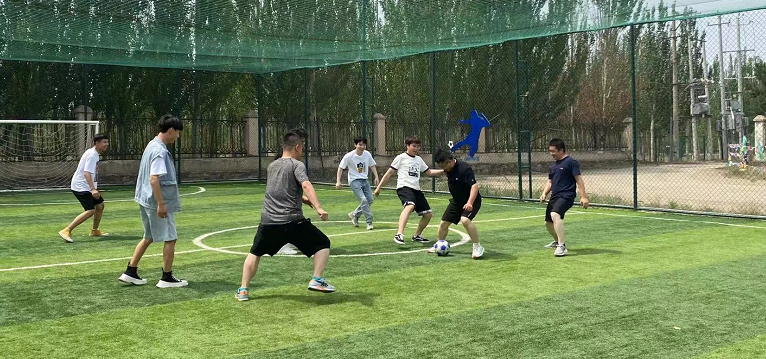 永利集团·yl(中国游)官方网站